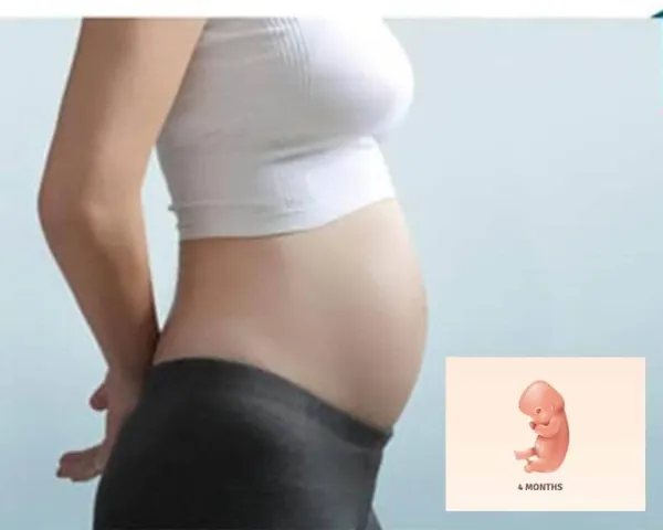 100+ Hình Ảnh Bụng Bầu Con Gái Đẹp, 100+ Ảnh Bụng Bầu Tháng Cuối 4k