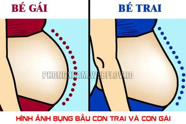 100+ Hình Ảnh Bụng Bầu Con Gái Đẹp, 100+ Ảnh Bụng Bầu Tháng Cuối 4k