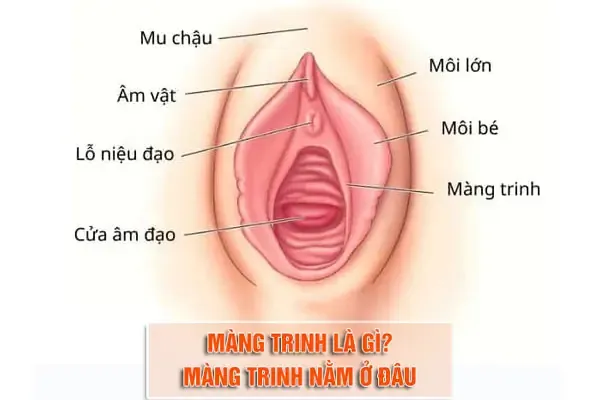 100+ Hình Ảnh Cho Gái Ocn2 Trinh Full Hd Chill Nhất 100+ Hình Ảnh Cho Gái Ocn2 Trinh Full Hd Chill Nhất