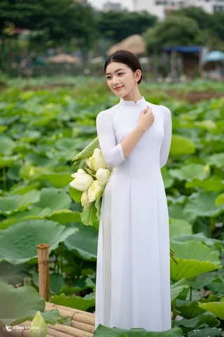 100+ Hình Ảnh Cô Gái Bên Cành Sen Đẹp Trong Chùa, Full 4k Thiền 100+ Hình Ảnh Cô Gái Bên Cành Sen Đẹp Trong Chùa, Full 4k Thiền