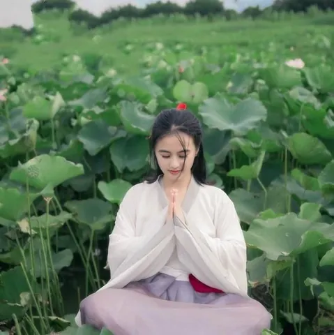 100+ Hình Ảnh Cô Gái Bên Cành Sen Đẹp Trong Chùa, Full 4k Thiền 100+ Hình Ảnh Cô Gái Bên Cành Sen Đẹp Trong Chùa, Full 4k Thiền