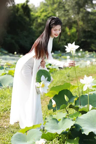 100+ Hình Ảnh Cô Gái Bên Cành Sen Đẹp Trong Chùa, Full 4k Thiền 100+ Hình Ảnh Cô Gái Bên Cành Sen Đẹp Trong Chùa, Full 4k Thiền