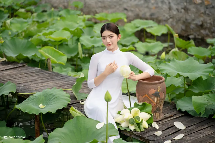 100+ Hình Ảnh Cô Gái Bên Cành Sen Đẹp Trong Chùa, Full 4k Thiền 100+ Hình Ảnh Cô Gái Bên Cành Sen Đẹp Trong Chùa, Full 4k Thiền