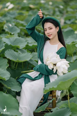 100+ Hình Ảnh Cô Gái Bên Cành Sen Đẹp Trong Chùa, Full 4k Thiền 100+ Hình Ảnh Cô Gái Bên Cành Sen Đẹp Trong Chùa, Full 4k Thiền