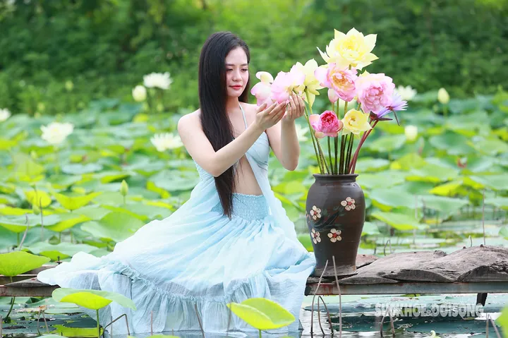 100+ Hình Ảnh Cô Gái Bên Cành Sen Đẹp Trong Chùa, Full 4k Thiền 100+ Hình Ảnh Cô Gái Bên Cành Sen Đẹp Trong Chùa, Full 4k Thiền