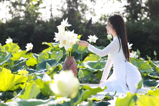 100+ Hình Ảnh Cô Gái Bên Cành Sen Đẹp Trong Chùa, Full 4k Thiền 100+ Hình Ảnh Cô Gái Bên Cành Sen Đẹp Trong Chùa, Full 4k Thiền