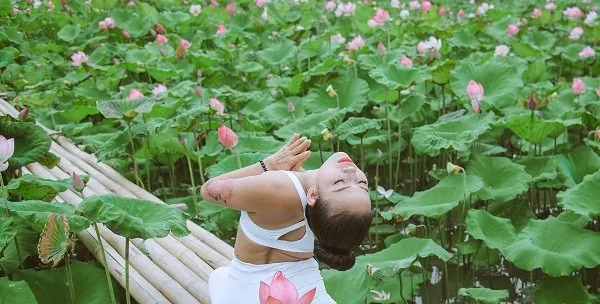 100+ Hình Ảnh Cô Gái Bên Cành Sen Đẹp Trong Chùa, Full 4k Thiền 100+ Hình Ảnh Cô Gái Bên Cành Sen Đẹp Trong Chùa, Full 4k Thiền