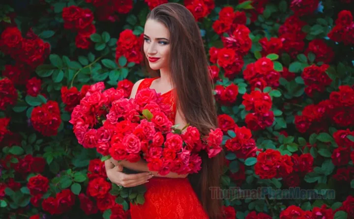 100+ Hình Ảnh Cô Gái Cầm Hoa Đẹp Full 4k, Hình Nền Avatar Cực Chill 100+ Hình Ảnh Cô Gái Cầm Hoa Đẹp Full 4k, Hình Nền Avatar Cực Chill