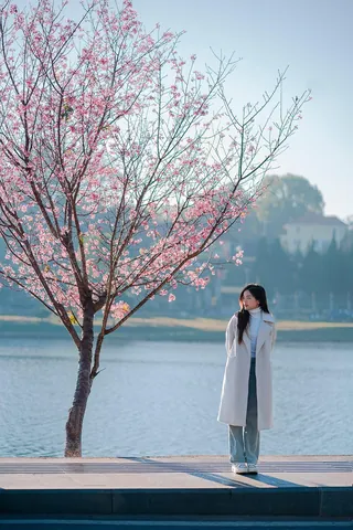 100+ Hình Ảnh Cô Gái Đà Lạt Với Hoa Dao Full Hd Chill Hết Mình 100+ Hình Ảnh Cô Gái Đà Lạt Với Hoa Dao Full Hd Chill Hết Mình
