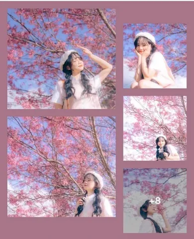 100+ Hình Ảnh Cô Gái Đà Lạt Với Hoa Dao Full Hd Chill Hết Mình 100+ Hình Ảnh Cô Gái Đà Lạt Với Hoa Dao Full Hd Chill Hết Mình