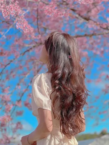 100+ Hình Ảnh Cô Gái Đà Lạt Với Hoa Dao Full Hd Chill Hết Mình 100+ Hình Ảnh Cô Gái Đà Lạt Với Hoa Dao Full Hd Chill Hết Mình