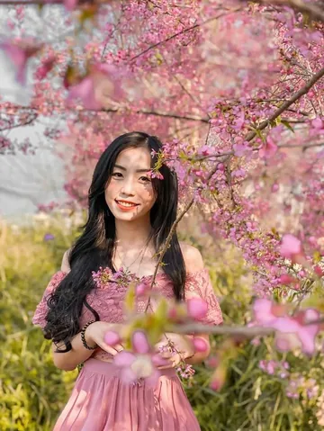 100+ Hình Ảnh Cô Gái Đà Lạt Với Hoa Dao Full Hd Chill Hết Mình 100+ Hình Ảnh Cô Gái Đà Lạt Với Hoa Dao Full Hd Chill Hết Mình