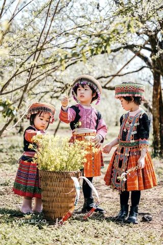 100+ Hình Ảnh Cô Gái Dân Tộc Hơ Mông Đẹp Nhất, 100+ Bức Ảnh Cô Gái Dân Tố Hơ Mông Phong Cách Truyền Thống, 100+ Hình Ảnh Cô Gái Hơ Mông Cánh Đồng Giản Dị
