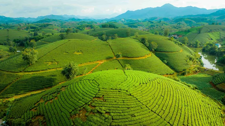 100+ Hình Ảnh Cô Gái Mường Tè Dưới Gốc Cây Full 4k Cực Chill 100+ Hình Ảnh Cô Gái Mường Tè Dưới Gốc Cây Full 4k Cực Chill