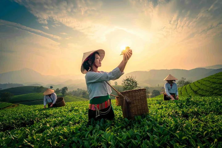 100+ Hình Ảnh Cô Gái Mường Tè Dưới Gốc Cây Full 4k Cực Chill 100+ Hình Ảnh Cô Gái Mường Tè Dưới Gốc Cây Full 4k Cực Chill