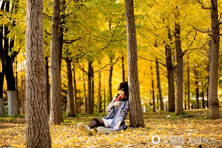 100+ Hình Ảnh Cô Gái Trong Rừng Chill Hết Sức, Full 4k Đẹp Nhất 100+ Hình Ảnh Cô Gái Trong Rừng Chill Hết Sức, Full 4k Đẹp Nhất