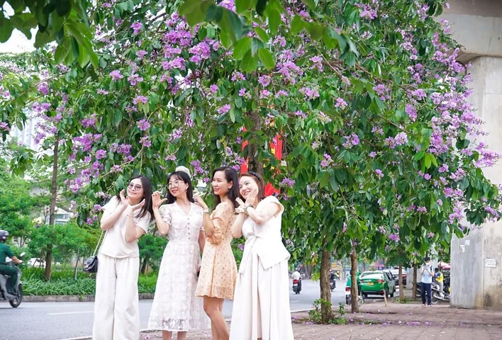 100+ Hình Ảnh Cô Gái Và Hoa Bằng Lăng Tím Đẹp Nhất, 100+ Bức Ảnh Cô Gái Cầm Hoa Bằng Lăng Tím Cực Xinh, 100+ Hình Ảnh Cô Gái Với Hoa Bằng Lăng Tím Thật Nổi Bật