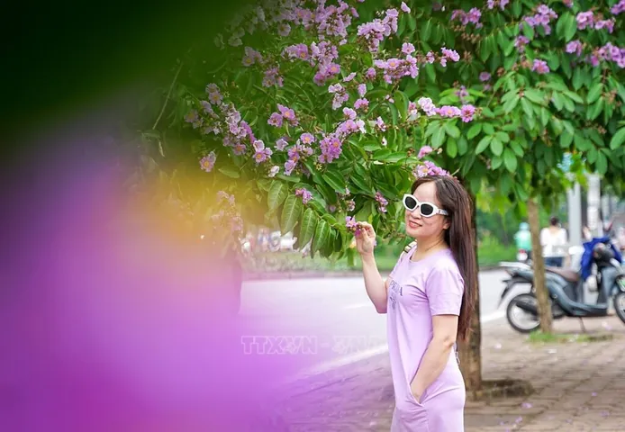 100+ Hình Ảnh Cô Gái Và Hoa Bằng Lăng Tím Đẹp Nhất, 100+ Bức Ảnh Cô Gái Cầm Hoa Bằng Lăng Tím Cực Xinh, 100+ Hình Ảnh Cô Gái Với Hoa Bằng Lăng Tím Thật Nổi Bật