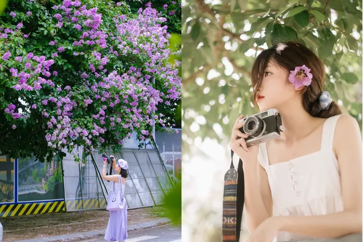 100+ Hình Ảnh Cô Gái Và Hoa Bằng Lăng Tím Đẹp Nhất, 100+ Bức Ảnh Cô Gái Cầm Hoa Bằng Lăng Tím Cực Xinh, 100+ Hình Ảnh Cô Gái Với Hoa Bằng Lăng Tím Thật Nổi Bật