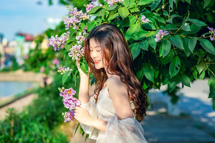 100+ Hình Ảnh Cô Gái Và Hoa Bằng Lăng Tím Đẹp Nhất, 100+ Bức Ảnh Cô Gái Cầm Hoa Bằng Lăng Tím Cực Xinh, 100+ Hình Ảnh Cô Gái Với Hoa Bằng Lăng Tím Thật Nổi Bật