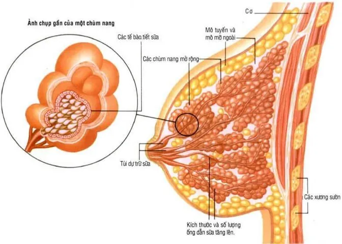 999+ Ảnh Hình Ảnh Con Trai Sờ Ngực Con Gái Mới Nhất Hiện Nay