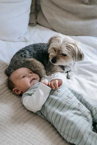 100+ Hình Ảnh Đẹp Bé Gái Và Chó Xinh, 100+ Ảnh Bé Yêu Cún Ngập Tim 100+ Hình Ảnh Đẹp Bé Gái Và Chó Xinh, 100+ Ảnh Bé Yêu Cún Ngập Tim