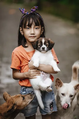 100+ Hình Ảnh Đẹp Bé Gái Và Chó Xinh, 100+ Ảnh Bé Yêu Cún Ngập Tim 100+ Hình Ảnh Đẹp Bé Gái Và Chó Xinh, 100+ Ảnh Bé Yêu Cún Ngập Tim