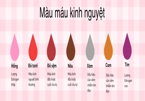 100+ Hình Ảnh Gái Bị Chảy Kinh Đẹp Nhất, 100+ Bức Ảnh Gái Bị Chảy Kinh Cực Kỳ Thực Tế, 100+ Hình Ảnh Gái Bị Chảy Kinh Full Hd Sống Động