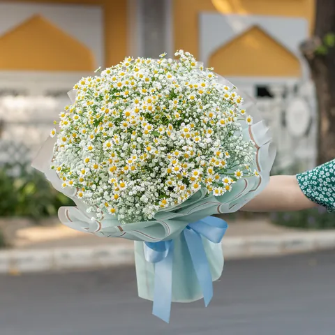 100+ Hình Ảnh Hoa Cho Bạn Gái Đẹp Lung Linh, Thơ Mộng Như Giấc Mơ 100+ Hình Ảnh Hoa Cho Bạn Gái Đẹp Lung Linh, Thơ Mộng Như Giấc Mơ