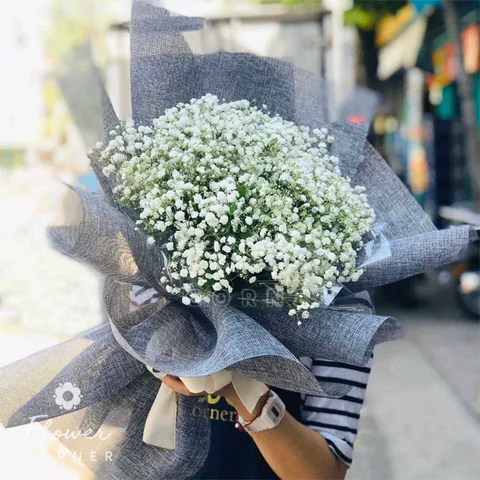 100+ Hình Ảnh Hoa Cho Bạn Gái Đẹp Lung Linh, Thơ Mộng Như Giấc Mơ 100+ Hình Ảnh Hoa Cho Bạn Gái Đẹp Lung Linh, Thơ Mộng Như Giấc Mơ