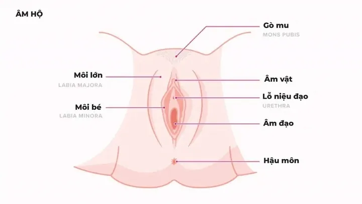100+ Hình Ảnh Nói Về Cái Đó Của Con Gái Cực Chân Thực, 100+ Hình Ảnh Tâm Trạng Gái Xinh 100+ Hình Ảnh Nói Về Cái Đó Của Con Gái Cực Chân Thực, 100+ Hình Ảnh Tâm Trạng Gái Xinh