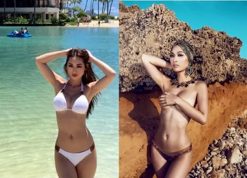 100+ Hình Ảnh Playboy Gái Mỹ 100 100 Full Hd Chất Lượng Cao