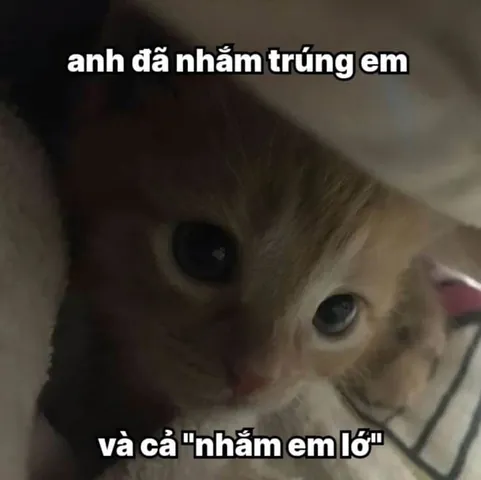 100+ Hình Ảnh Tán Gái Ngộ Nhất Cực Hài Hước, Chữ To Rõ Ràng 100+ Hình Ảnh Tán Gái Ngộ Nhất Cực Hài Hước, Chữ To Rõ Ràng