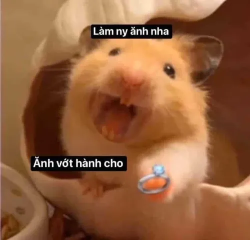100+ Hình Ảnh Tán Gái Ngộ Nhất Cực Hài Hước, Chữ To Rõ Ràng 100+ Hình Ảnh Tán Gái Ngộ Nhất Cực Hài Hước, Chữ To Rõ Ràng