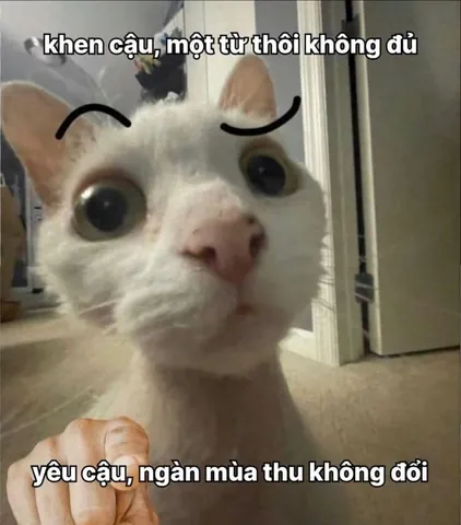 100+ Hình Ảnh Tán Gái Ngộ Nhất Cực Hài Hước, Chữ To Rõ Ràng 100+ Hình Ảnh Tán Gái Ngộ Nhất Cực Hài Hước, Chữ To Rõ Ràng