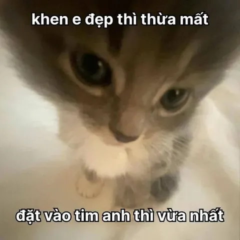 100+ Hình Ảnh Tán Gái Ngộ Nhất Cực Hài Hước, Chữ To Rõ Ràng 100+ Hình Ảnh Tán Gái Ngộ Nhất Cực Hài Hước, Chữ To Rõ Ràng