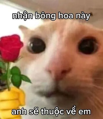 100+ Hình Ảnh Tán Gái Ngộ Nhất Cực Hài Hước, Chữ To Rõ Ràng 100+ Hình Ảnh Tán Gái Ngộ Nhất Cực Hài Hước, Chữ To Rõ Ràng