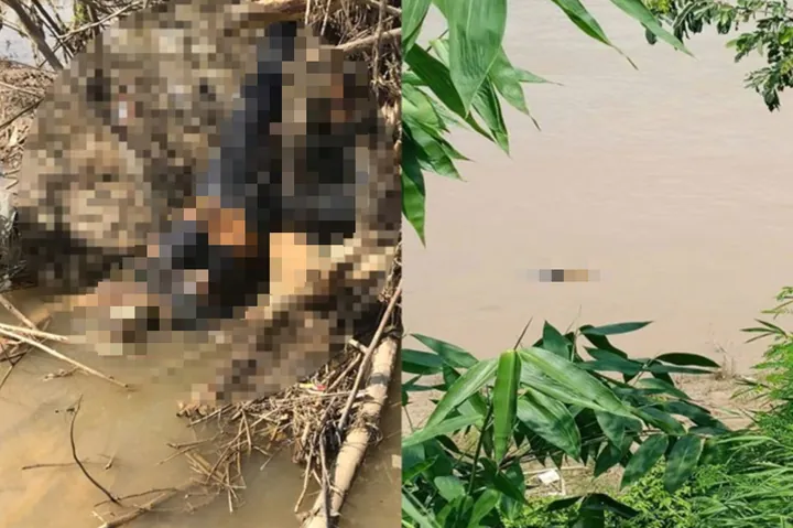 999+ Ảnh Hình Ảnh Thi Thể Cô Gái Trên Sông Hồng Mới Nhất Hiện Nay