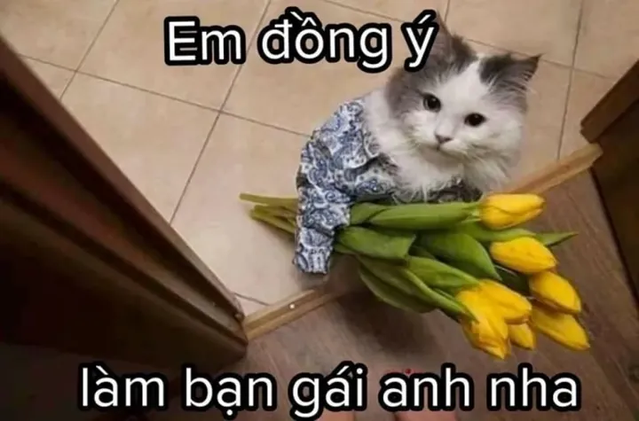 100+ Hình Ảnh Tỏ Tình Gái Đẹp Nghệ Thuật Nhất, 100+ Bức Ảnh Tỏ Tình Gái Cực Yêu Thương, 100+ Hình Ảnh Tỏ Tình Gái Siêu Cánh Gỡ Siêu Đẹp