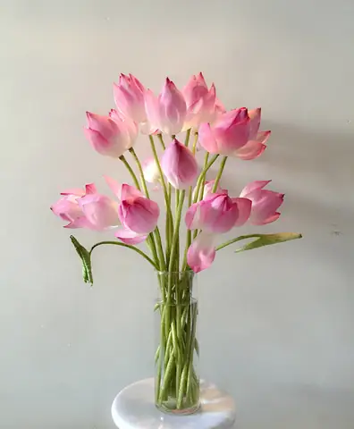Top 10+ Loại Hoa Cúng Bàn Thờ Gia Tiên Phổ Biến, Ý Nghĩa Tài Lộc & Quy Tắc Cắm Đúng Chuẩn Top 10+ Loại Hoa Cúng Bàn Thờ Gia Tiên Phổ Biến, Ý Nghĩa Tài Lộc & Quy Tắc Cắm Đúng Chuẩn