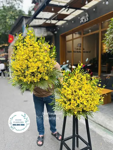 Top 10+ Loại Hoa Cúng Bàn Thờ Gia Tiên Phổ Biến, Ý Nghĩa Tài Lộc & Quy Tắc Cắm Đúng Chuẩn Top 10+ Loại Hoa Cúng Bàn Thờ Gia Tiên Phổ Biến, Ý Nghĩa Tài Lộc & Quy Tắc Cắm Đúng Chuẩn