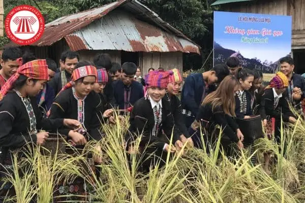 Lễ Cúng Lúa Mới: Ý Nghĩa, Thời Gian, Lễ Vật Và Quy Trình Nghi Lễ Của Các Dân Tộc Tây Nguyên Lễ Cúng Lúa Mới: Ý Nghĩa, Thời Gian, Lễ Vật Và Quy Trình Nghi Lễ Của Các Dân Tộc Tây Nguyên