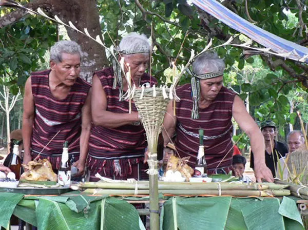 Lễ Cúng Thần Lúa Của Người Chơ-ro: Nghi Lễ Cúng Mùa Màng Và Tri Ân Thần Đất