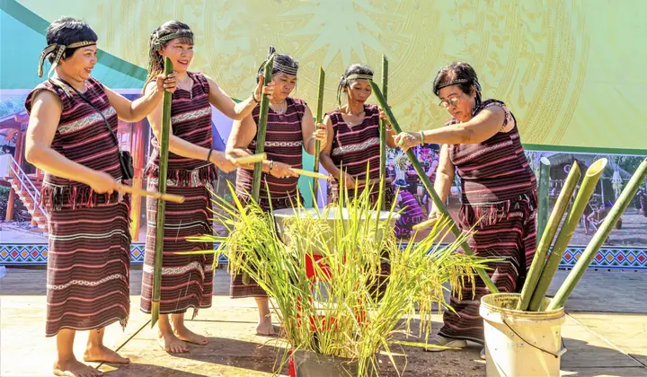 Lễ Cúng Thần Lúa Của Người Chơ-ro: Nghi Lễ Cúng Mùa Màng Và Tri Ân Thần Đất