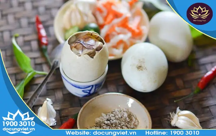 Hướng Dẫn Chuẩn Bị Mâm Cúng Xả Xui Chi Tiết & Văn Khấn Đúng Cách