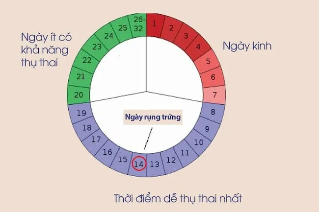 100+ Ảnh Muốn Sinh Con Gái Uống Tảo Có Ảnh Hưởng Không Full Hd Chuyên Nghiệp 100+ Ảnh Muốn Sinh Con Gái Uống Tảo Có Ảnh Hưởng Không Full Hd Chuyên Nghiệp