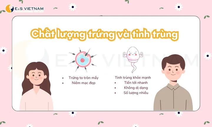 100+ Ảnh Muốn Sinh Con Gái Uống Tảo Có Ảnh Hưởng Không Full Hd Chuyên Nghiệp 100+ Ảnh Muốn Sinh Con Gái Uống Tảo Có Ảnh Hưởng Không Full Hd Chuyên Nghiệp