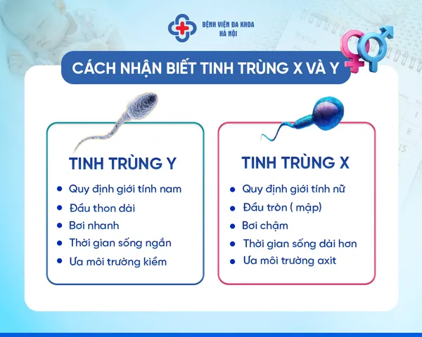 100+ Ảnh Muốn Sinh Con Gái Uống Tảo Có Ảnh Hưởng Không Full Hd Chuyên Nghiệp 100+ Ảnh Muốn Sinh Con Gái Uống Tảo Có Ảnh Hưởng Không Full Hd Chuyên Nghiệp
