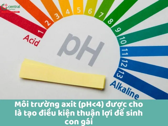 100+ Ảnh Muốn Sinh Con Gái Uống Tảo Có Ảnh Hưởng Không Full Hd Chuyên Nghiệp 100+ Ảnh Muốn Sinh Con Gái Uống Tảo Có Ảnh Hưởng Không Full Hd Chuyên Nghiệp