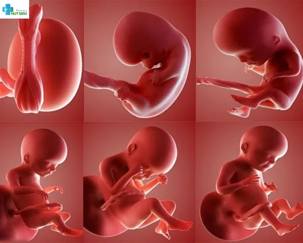 100+ Ảnh Siêu Âm Nhận Biết Trai Gái 4k,100+ Ảnh Dấu Hiệu Trai Gái 100+ Ảnh Siêu Âm Nhận Biết Trai Gái 4k,100+ Ảnh Dấu Hiệu Trai Gái